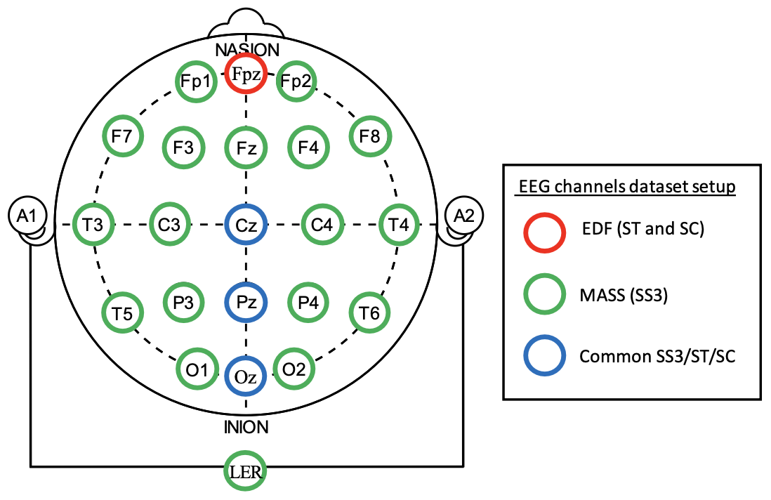 EEG channel configuration for the selected datasets.
